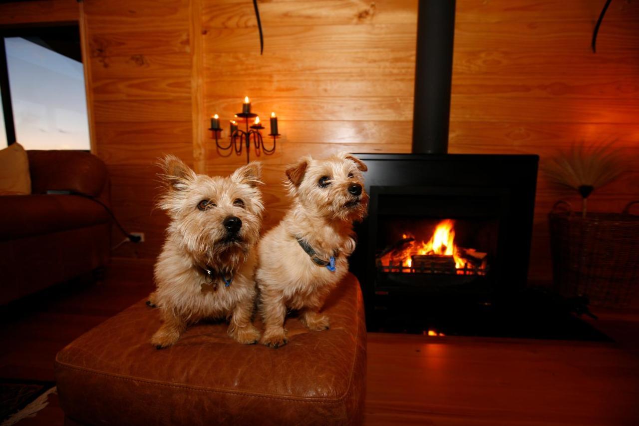 Birds Ferry Lodge Luxury B&B ウェストポート エクステリア 写真